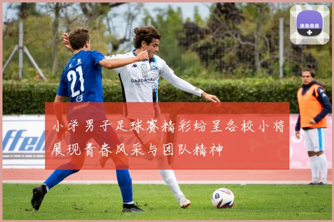 小学男子足球赛精彩纷呈各校小将展现青春风采与团队精神
