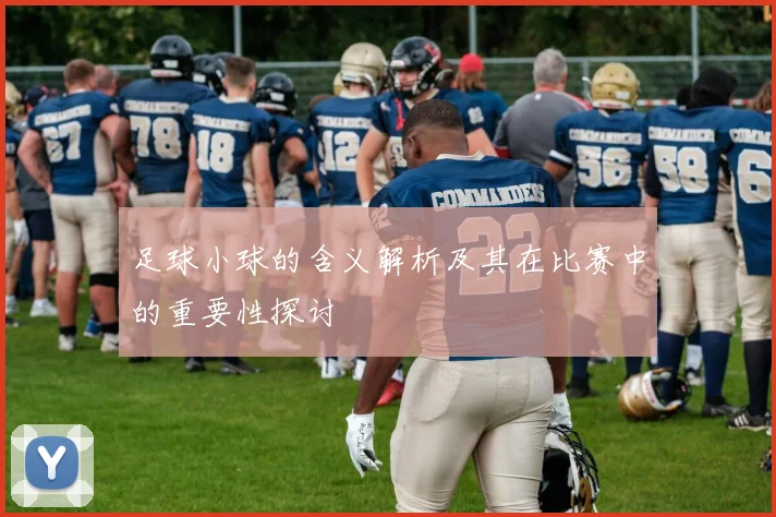 足球小球的含义解析及其在比赛中的重要性探讨