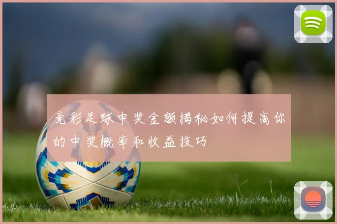 竞彩足球中奖金额揭秘如何提高你的中奖概率和收益技巧