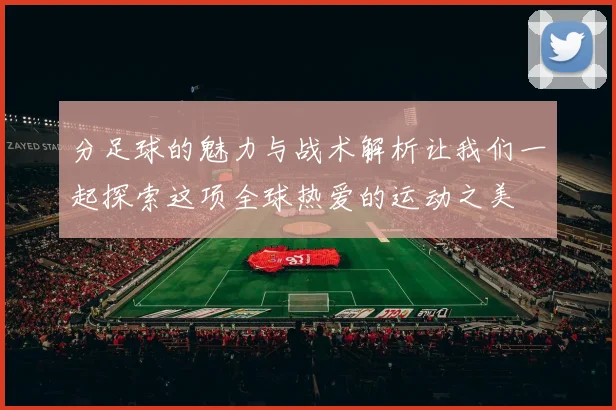 分足球的魅力与战术解析让我们一起探索这项全球热爱的运动之美