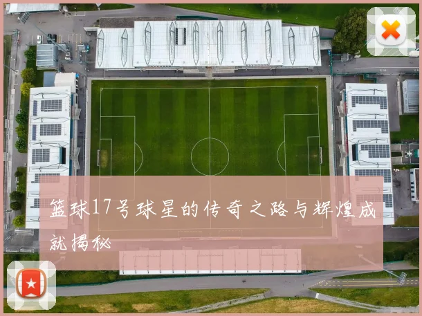 篮球17号球星的传奇之路与辉煌成就揭秘