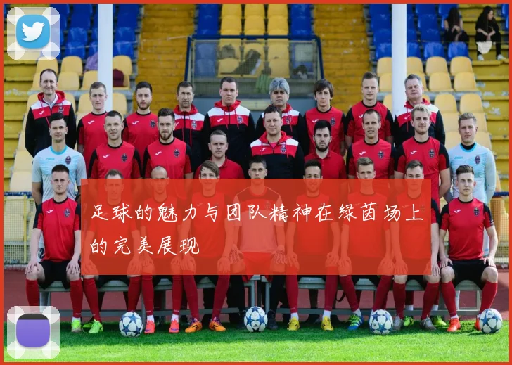足球的魅力与团队精神在绿茵场上的完美展现